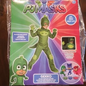 Gecko (PJ Mask) costume